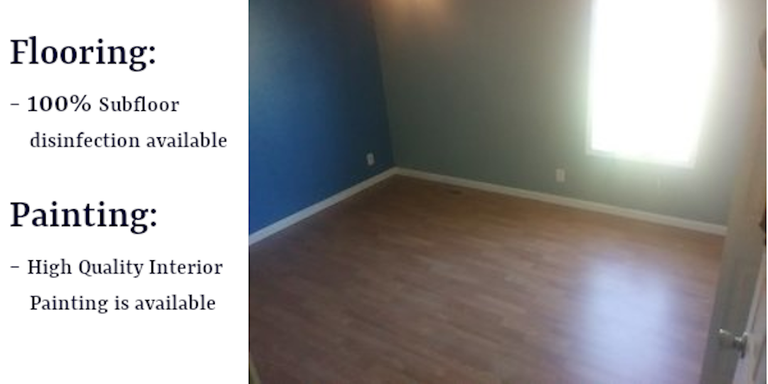 Floors and Paint